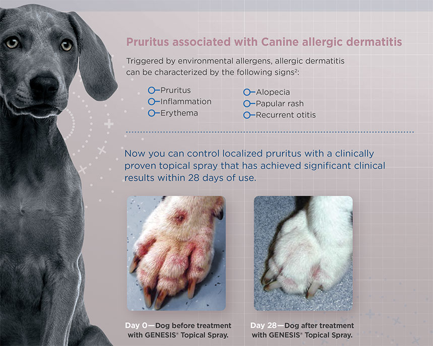 Topical treatment for dog allergies shop